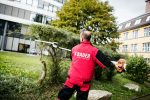 Teamkollege von Gebäudereinigung Stuttgart beim Hecke schneiden und Grünanlagenpflege