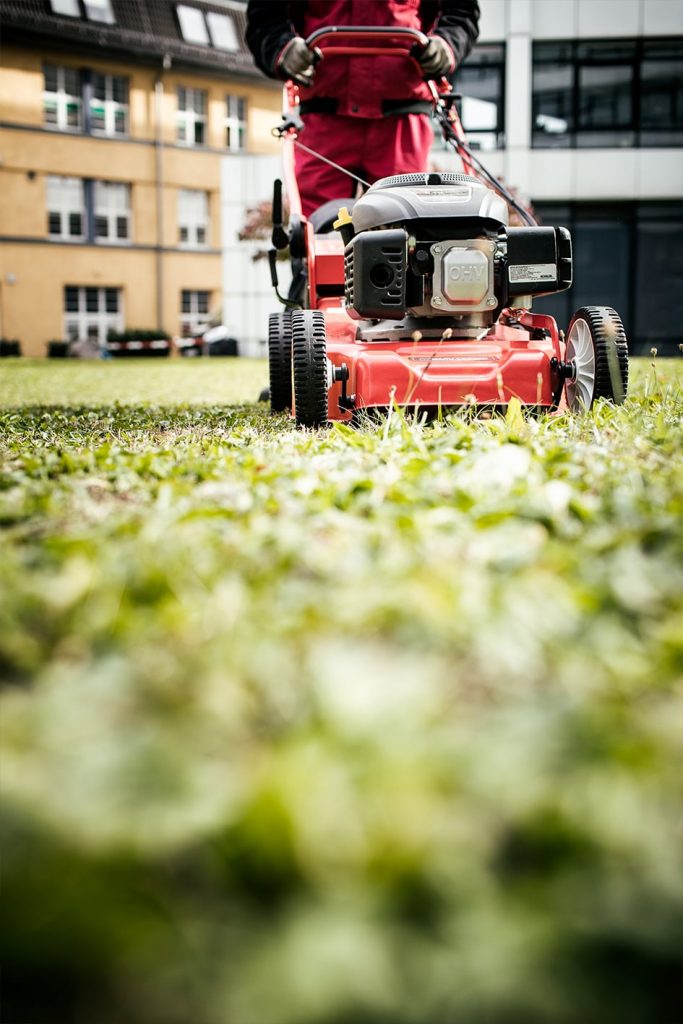 Grünanlagen Pflege, Rasenmähen und Gebäudedienste, Winterdienst Stuttgart
